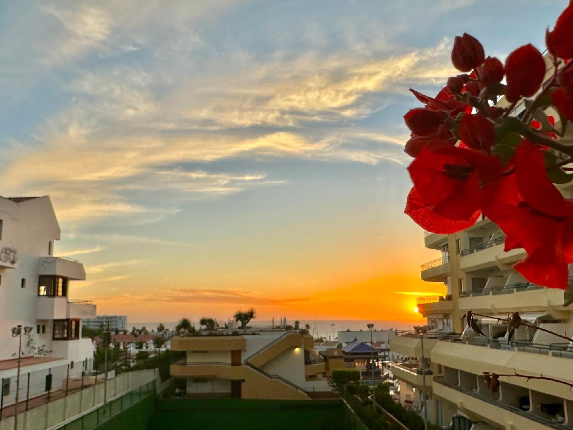 Apartment In Ocean Park, Costa Adeje, Tenerife Exterior photo
